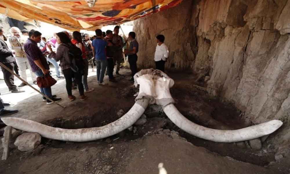 Atenborou i groblje mamuta