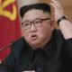 Severna koreja: Um diktatora