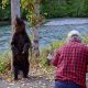 Susret sa grizlijem