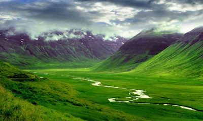 Svet prirode - Island divljina