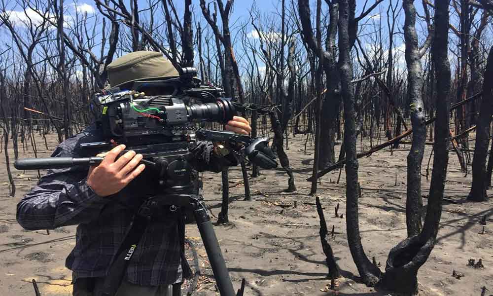 Posle požara - oporavak australijske prirode