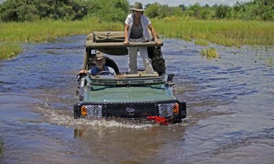 Okavango: Reka snova