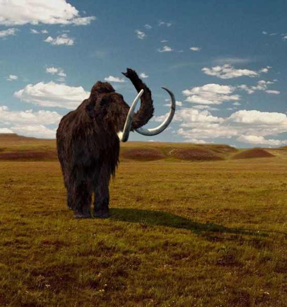 Mamuti: Divovi ledenog doba