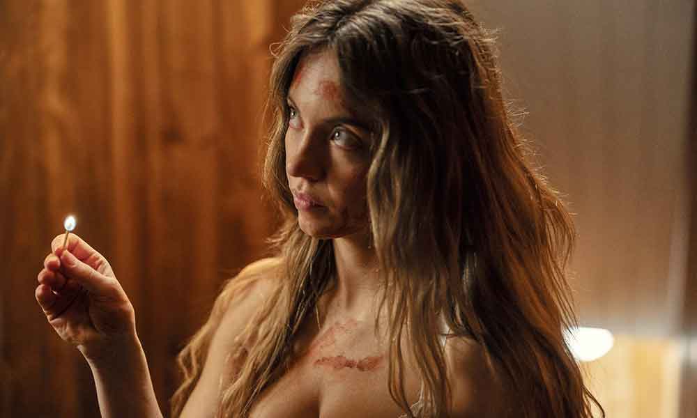 Kucna-pomocnica-The-Housemaid